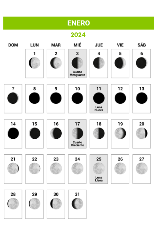 Calendario Lunar 2024 Enero