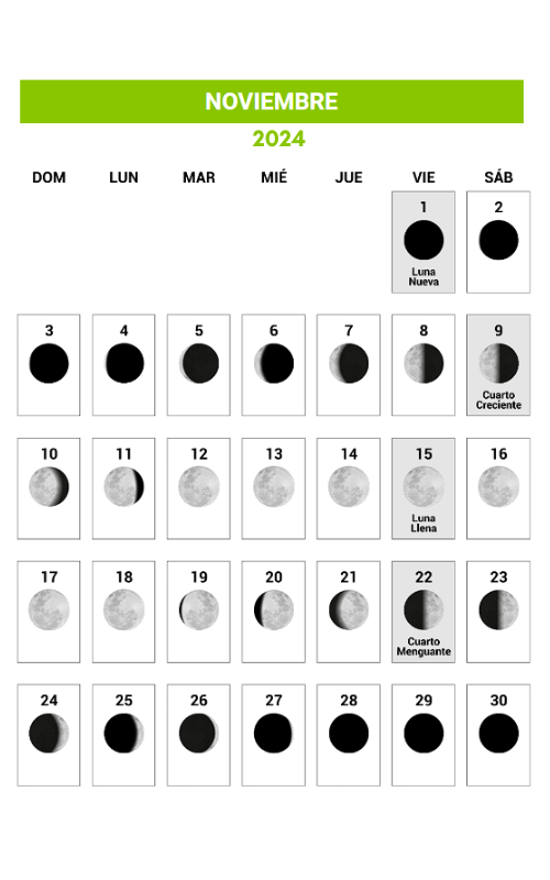 Calendario Lunar 2024 Noviembre