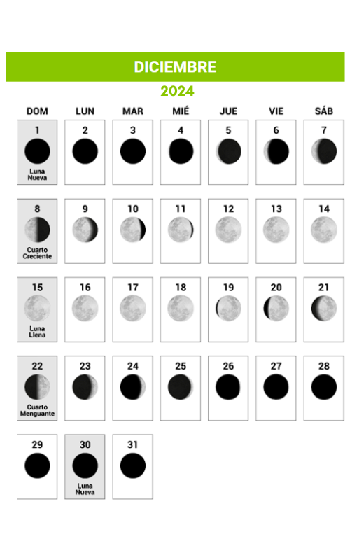 Calendario Lunar 2024 Diciembre